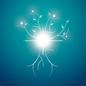 Frédéric Bouldoires Ostéofluidique