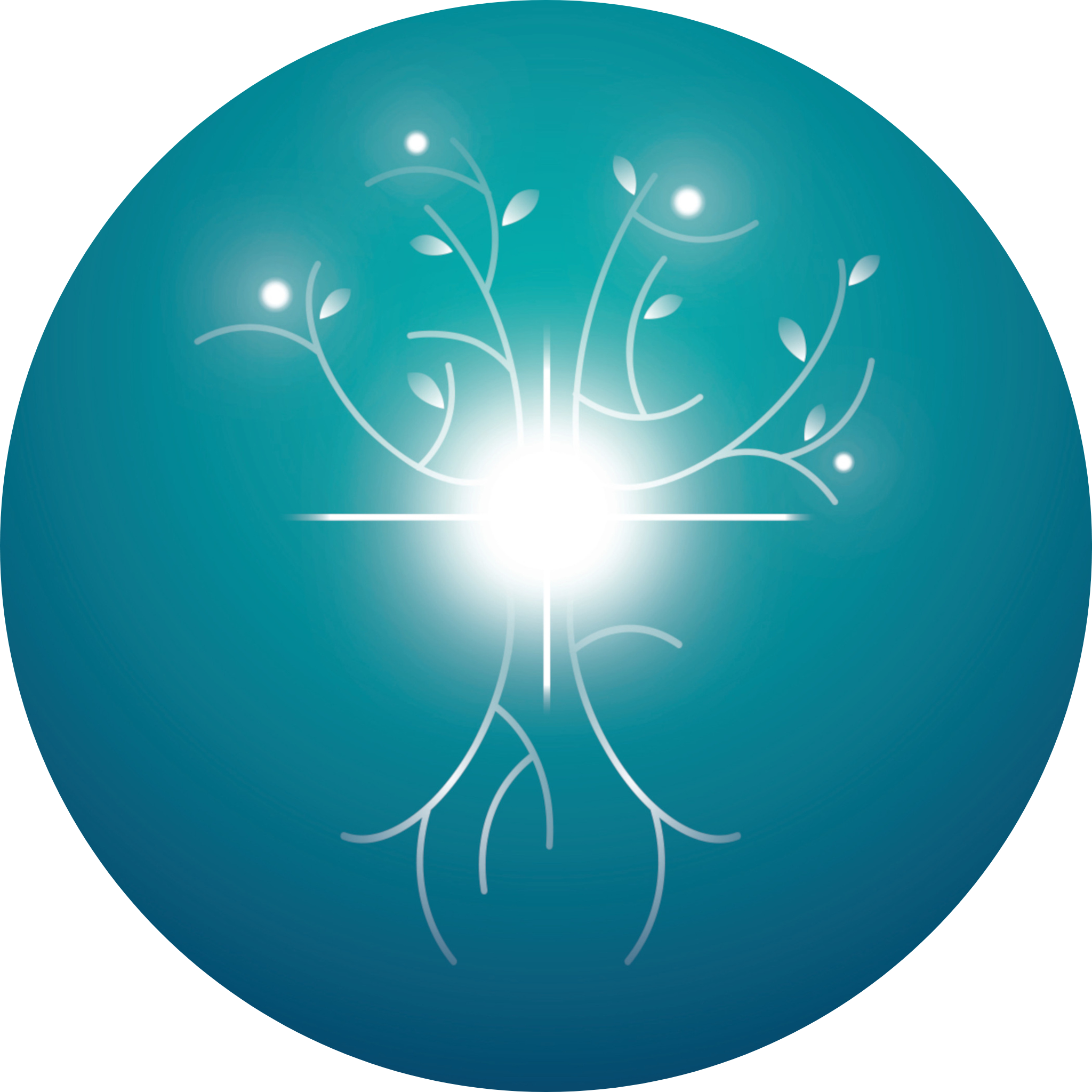 Logo Frédéric Bouldoires praticien en osteofluidique